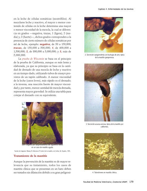 Enciclopedia Bovina