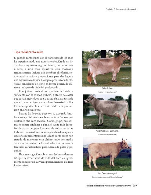 Enciclopedia Bovina