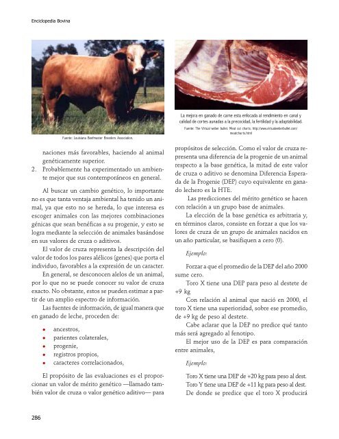 Enciclopedia Bovina