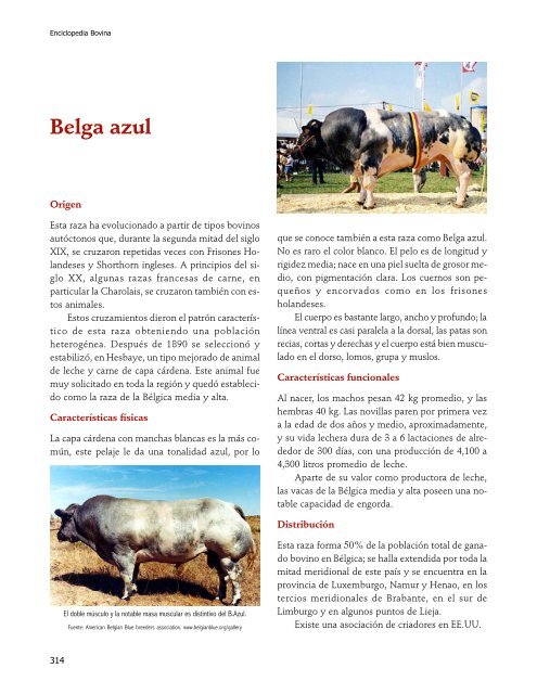 Enciclopedia Bovina