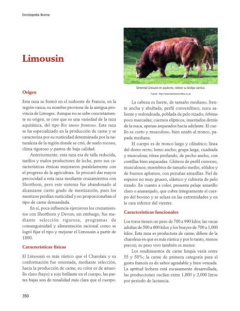 Enciclopedia Bovina