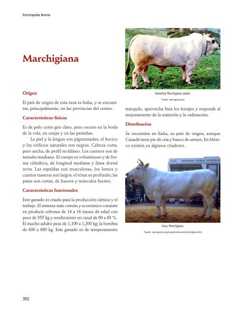 Enciclopedia Bovina