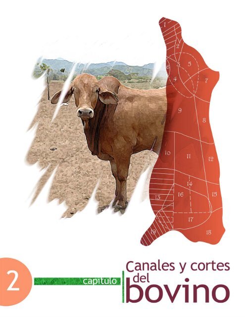 Enciclopedia Bovina