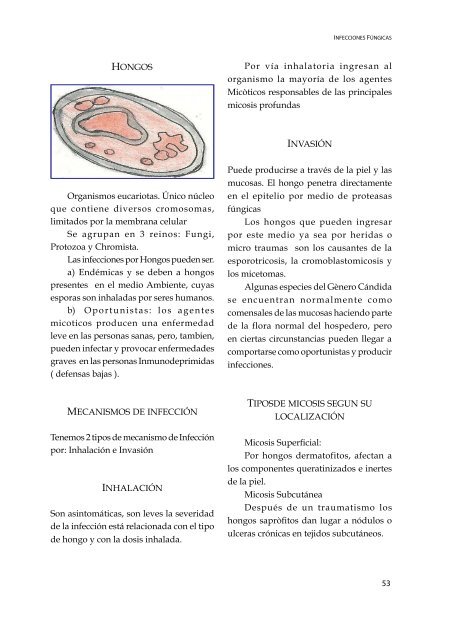 Inmunologia Basica y Clinica Vol II