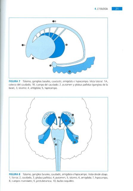 Manual.de.Diagnostico.y.Tratamiento.de.TDAH