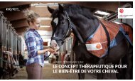 1577-1607-715503-VET-brochure-16.4-fr-26-web (1)