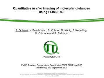 FLIM-FRET - EMBO Events Calendar