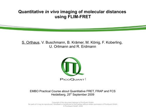 FLIM-FRET - EMBO Events Calendar