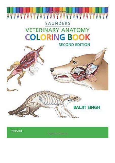 Download Pdf Download Veterinary Anatomy Coloring Book Full Pages