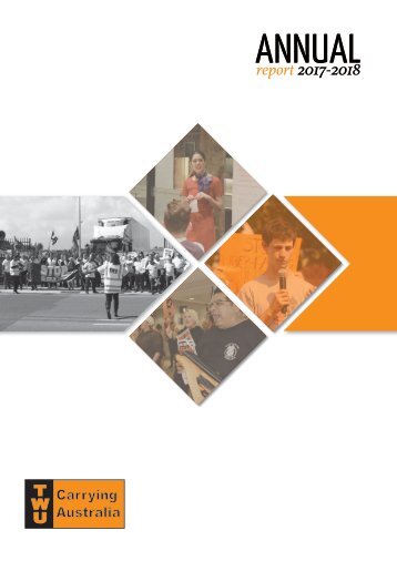 web-national council report 2017-2018