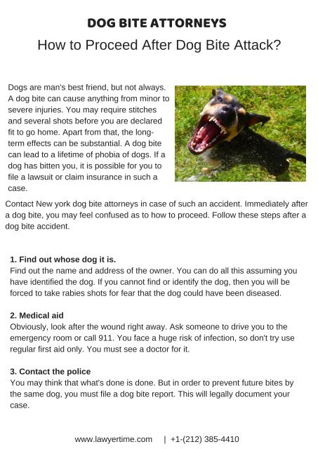 Do You Have To Report A Dog Bite
