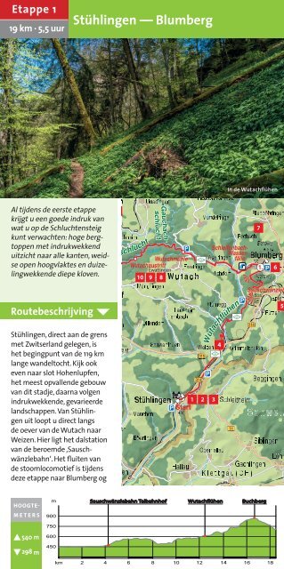 Schluchtensteig-NL- Bladeren 