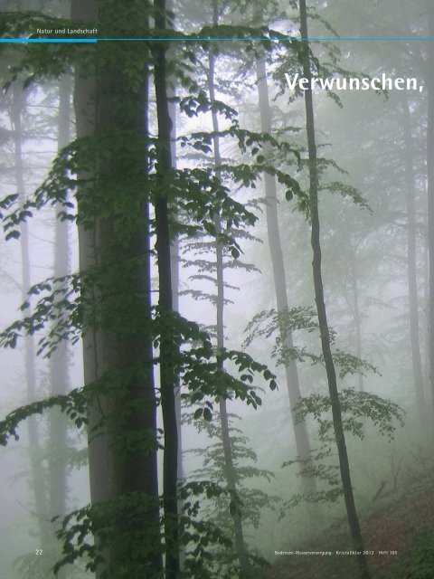 Kristallklar - Zweckverband Bodensee-Wasserversorgung