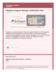 Magellan Support Number +1(844)307-5701