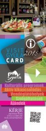 Visit Gyula Card Magazin 2018 Szolgáltatások