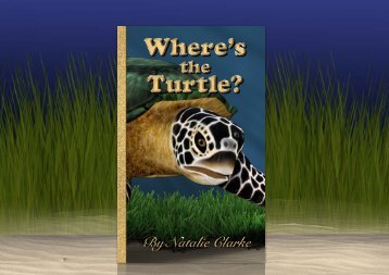 Where's the Turtle? A Cultural Adventure Story
