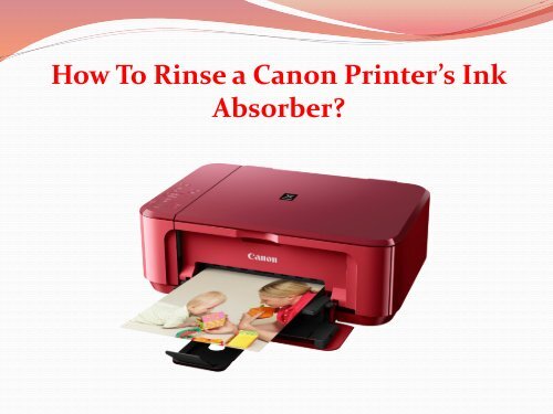 How To Rinse a Canon Printer's Ink Absorber?