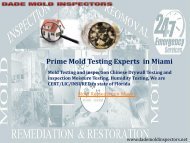 Prime Mold Testing Experts  in Miami