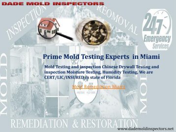 Prime Mold Testing Experts  in Miami