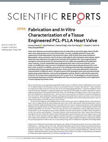 Scientific Report Heart Valve full paper published