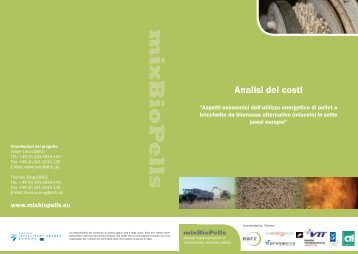 Analisi dei costi - MixBioPells