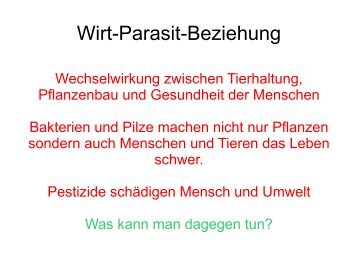 Weiterer Beweis, dass 'Schmutzbakterien' auch Menschen schädigen