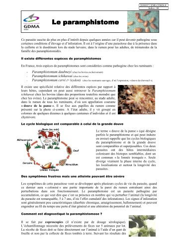 Le Paramphistome.pdf - GDMA 36
