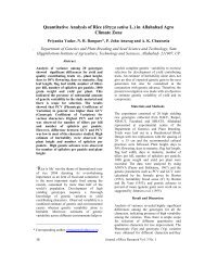 Quantitative analysis of rice (Oryza sativa L