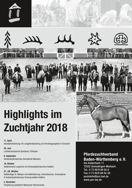 Fohlenschaukatalog 2018 - Kleinpferde 1