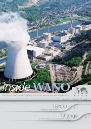 TEPCO Tihange - WANO