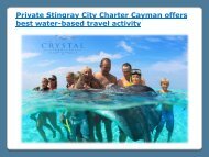 Private Stingray City Charter Cayman