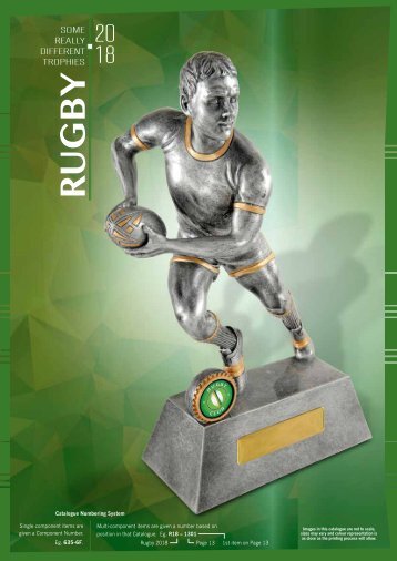 Some Really Different Trophies - Rugby 2018