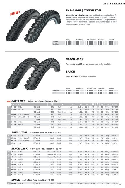 Schwalbe 2019 PT