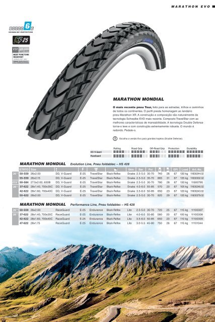 Schwalbe 2019 PT