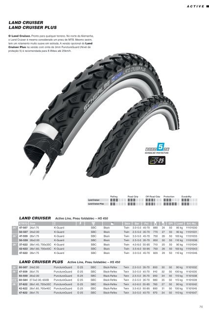 Schwalbe 2019 PT