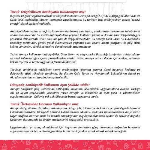 Tavukla Yaratıcı Tarifler Yemek Kitabı 1