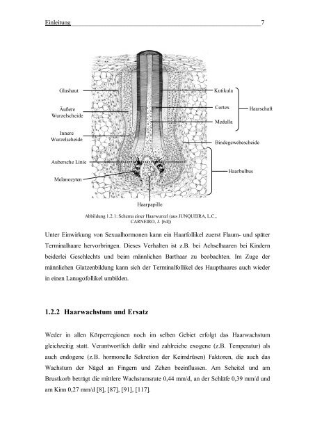 Morphologische und DNA-analytische Untersuchungen am - OPUS ...