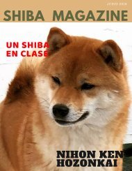 eMagazine_Shiba_5