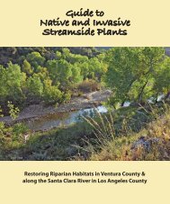 Guide to Native and Invasive Streamside Plants - County of Ventura