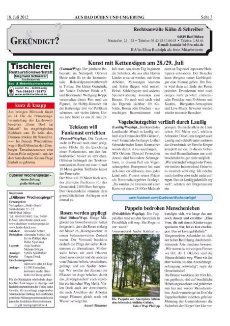 Dübener Wochenspiegel - Ausgabe 13 - 18-07-2012