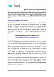 Lithium Derivatives Market - PDF