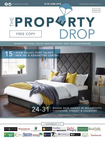 Property Drop Issue 30