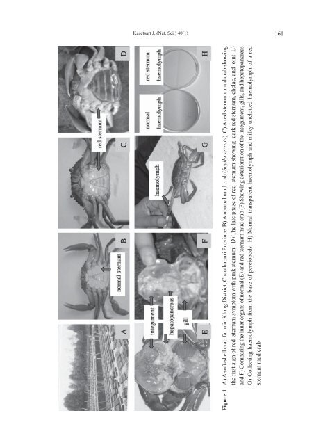 kasetsart journal natural science