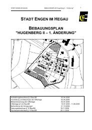 stadt engen im hegau bebauungsplan 