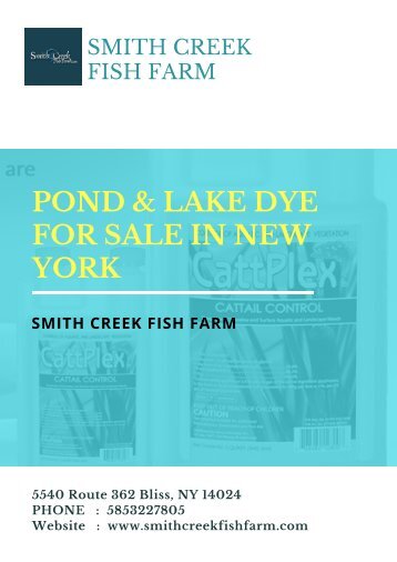 Pond & Lake Dye for Sale in New York