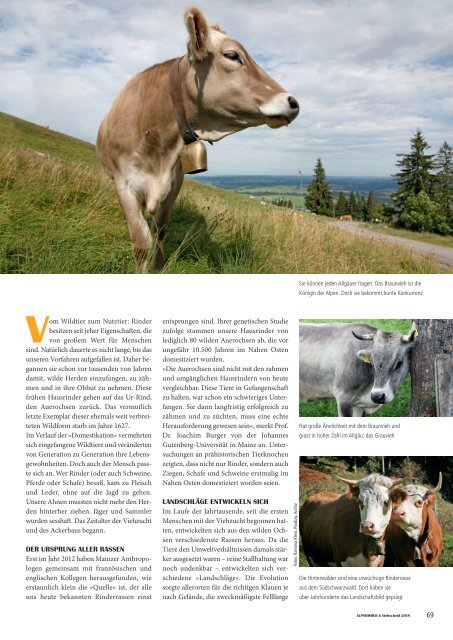 Alpsommer-und-Viehscheid-2018