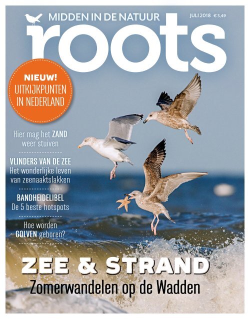 Roots editie 7 - juli 2018