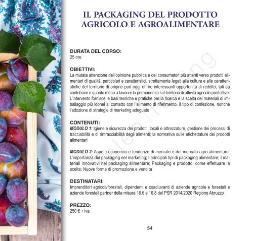 catalogo talentraining