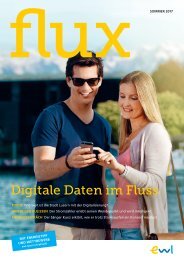 flux – Sommer 2017