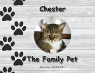 FamilyPetCHESTERWeb